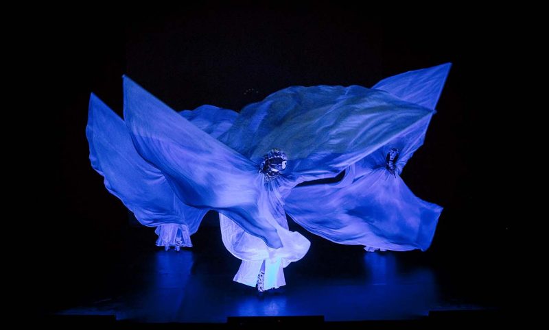 LED Dream Light Show Dancers Acrobats