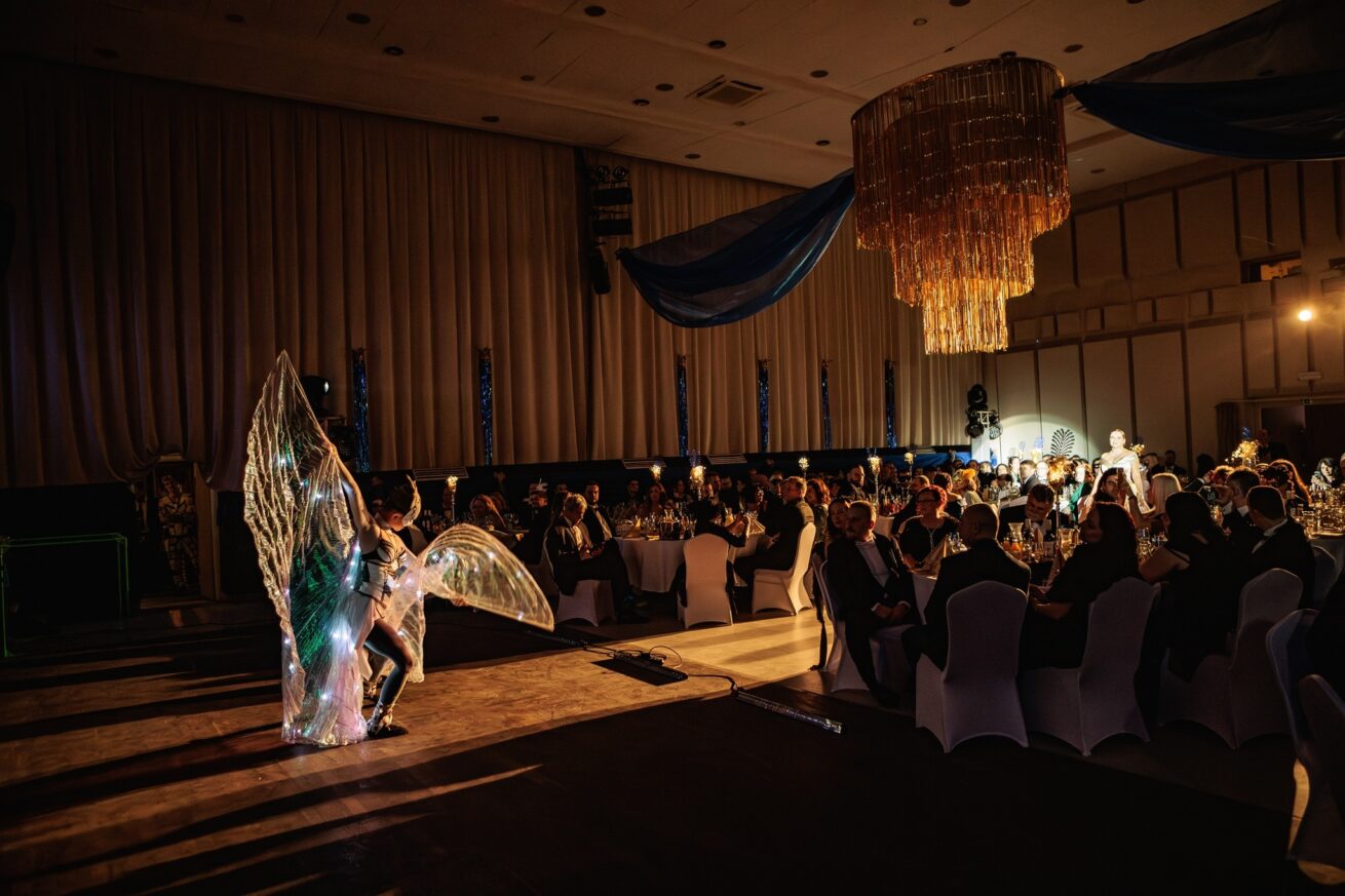 LED Light Wings Show