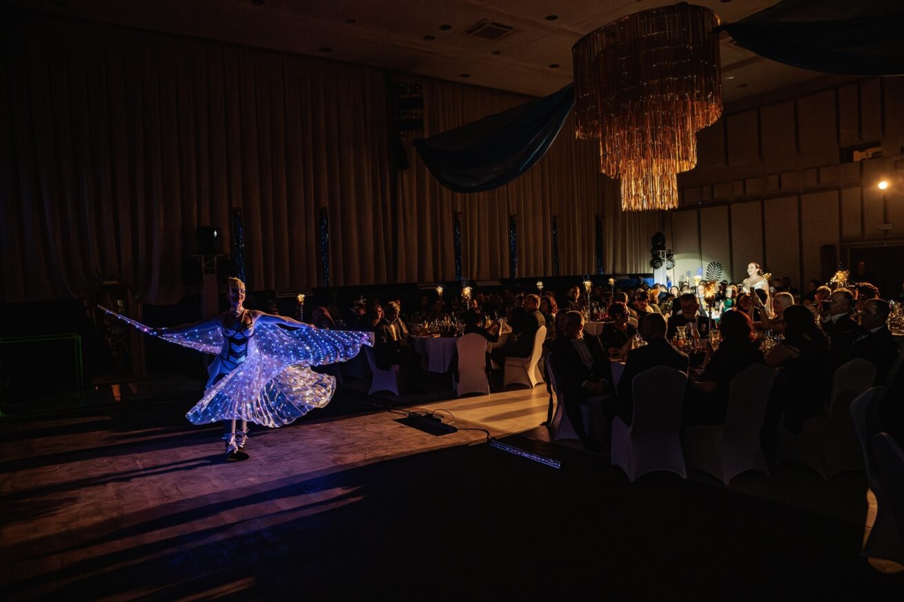 LED Wings ball show