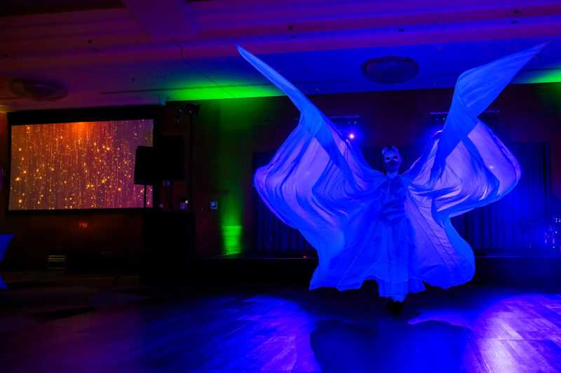 LED Dream Light Show Dancers Acrobats